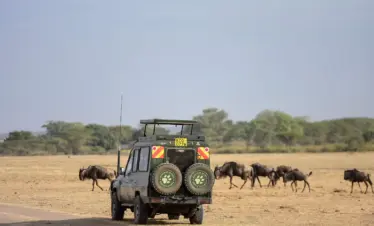 Intro to Kenya 04 Nights /05 Days