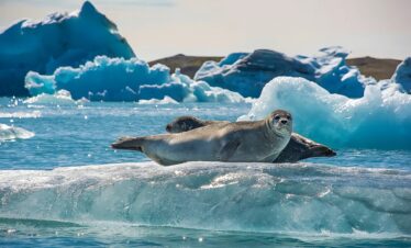 Jökulsárlón Glacier Lagoon Iceland 2.jpg