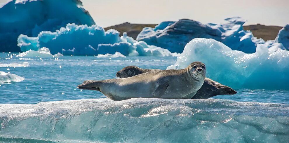Jökulsárlón Glacier Lagoon Iceland 2.jpg