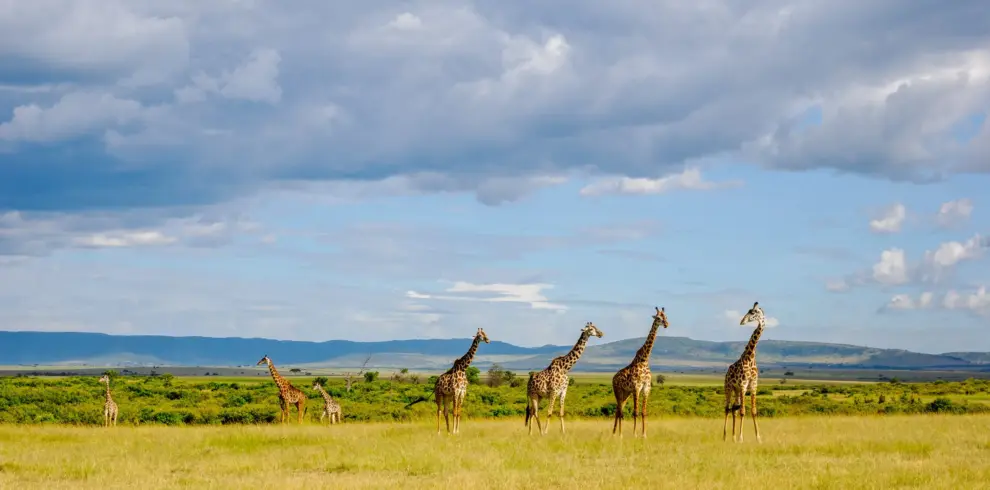 Ultimate Kenya Safari Escape