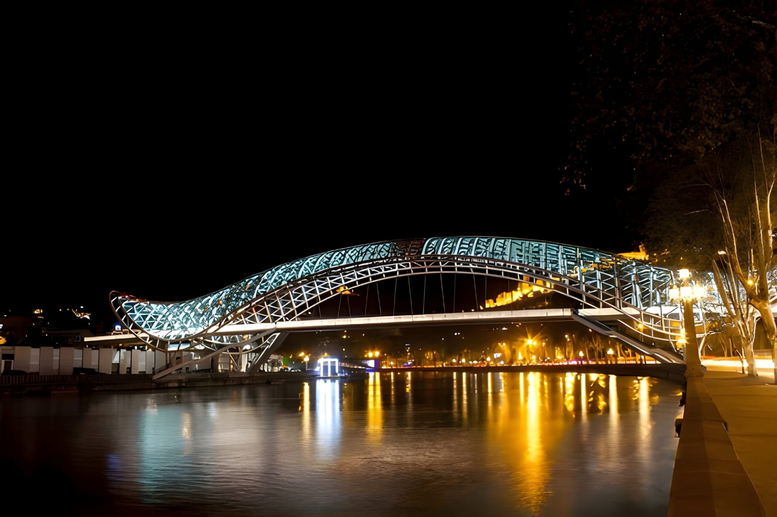 Peace Bridge Tbilisi Night View