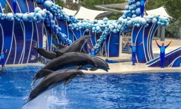 marine wonders at Sea World