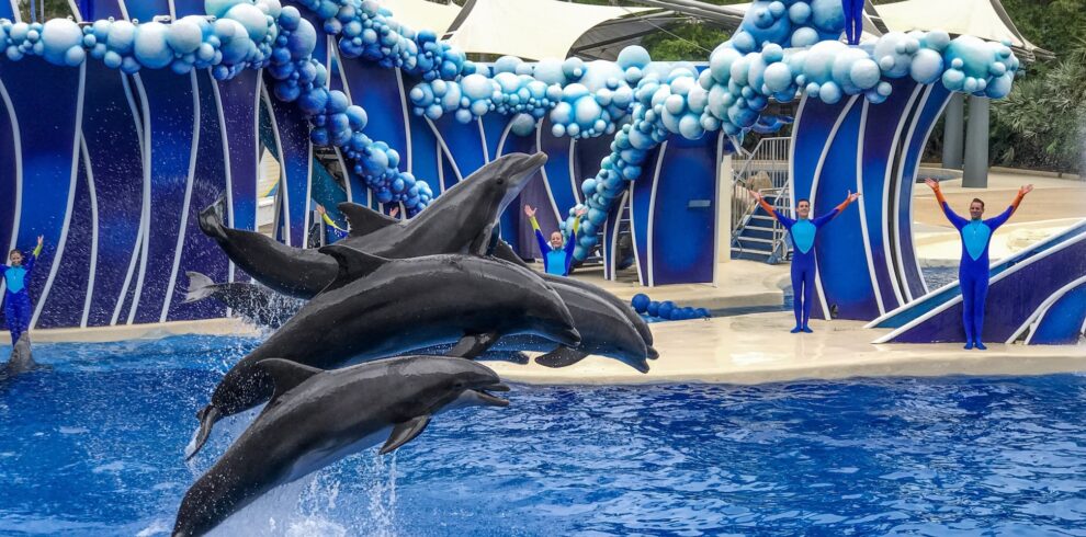 marine wonders at Sea World
