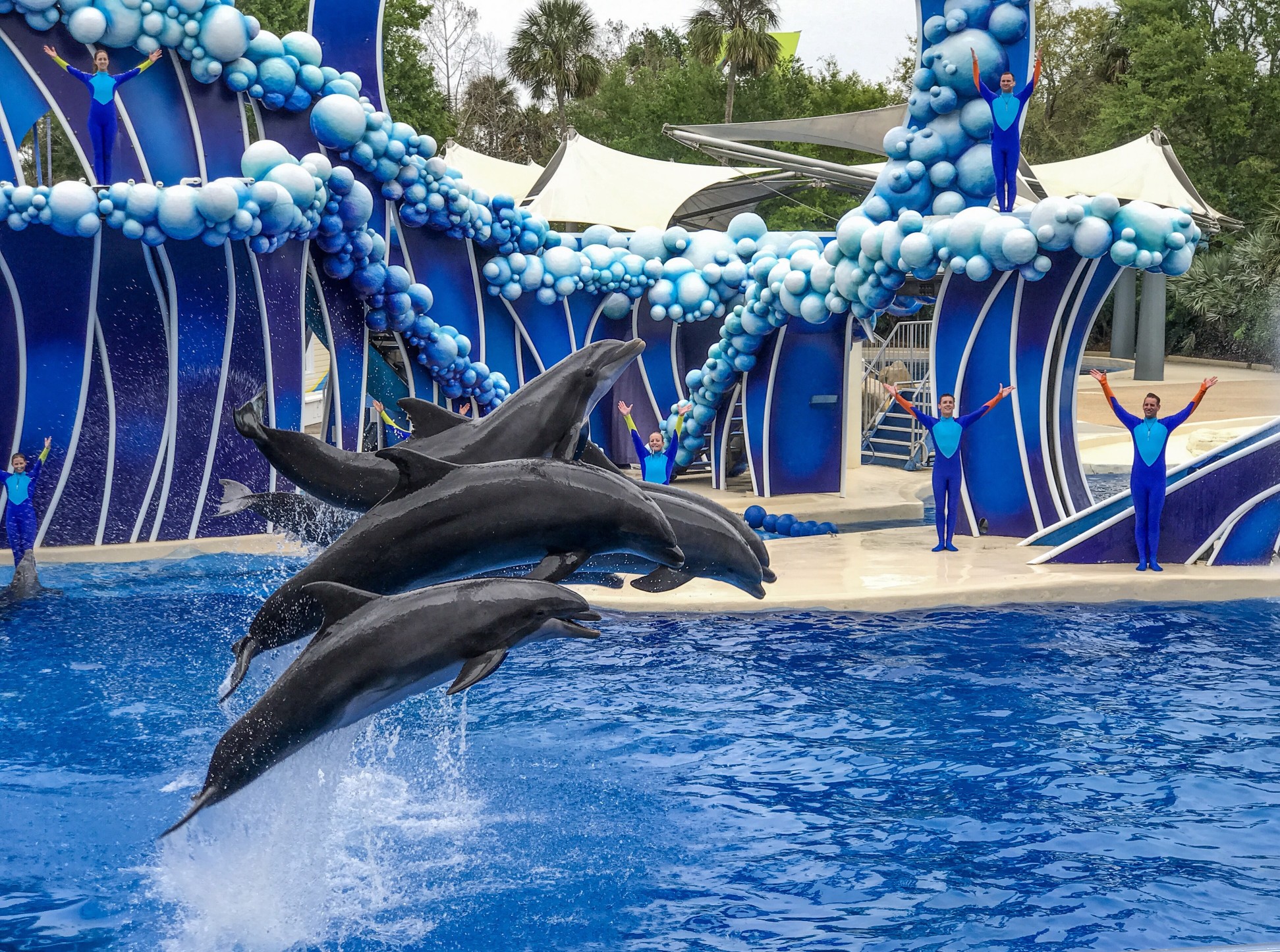 marine wonders at Sea World