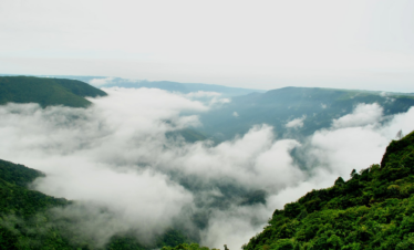 Assam Meghalaya Premium