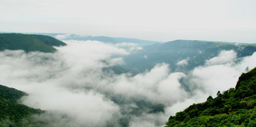 Assam Meghalaya Premium