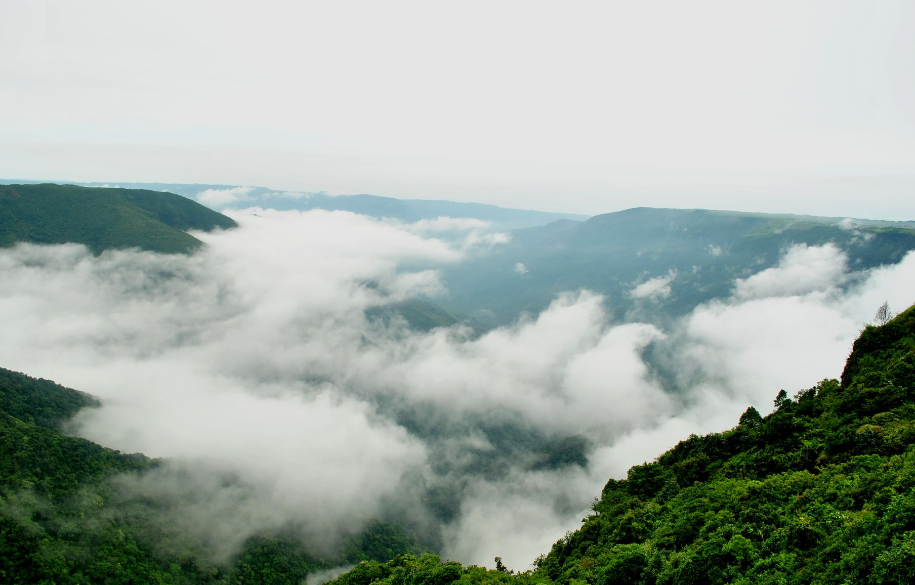 Assam Meghalaya Premium