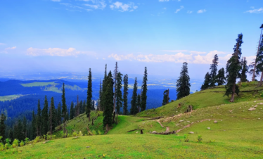 Kashmir Meadows & Houseboat Paradise Tour