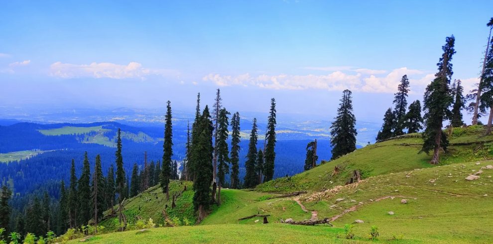 Kashmir Meadows & Houseboat Paradise Tour