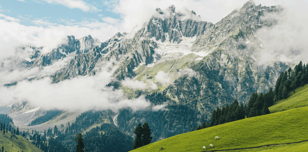Heavenly Kashmir Valley Escape