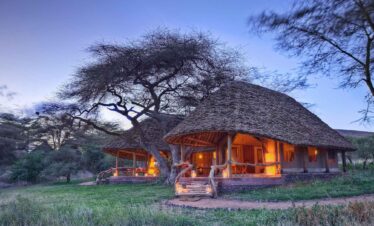 Kenya Big Five Safari