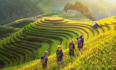 The Impression of Vietnam