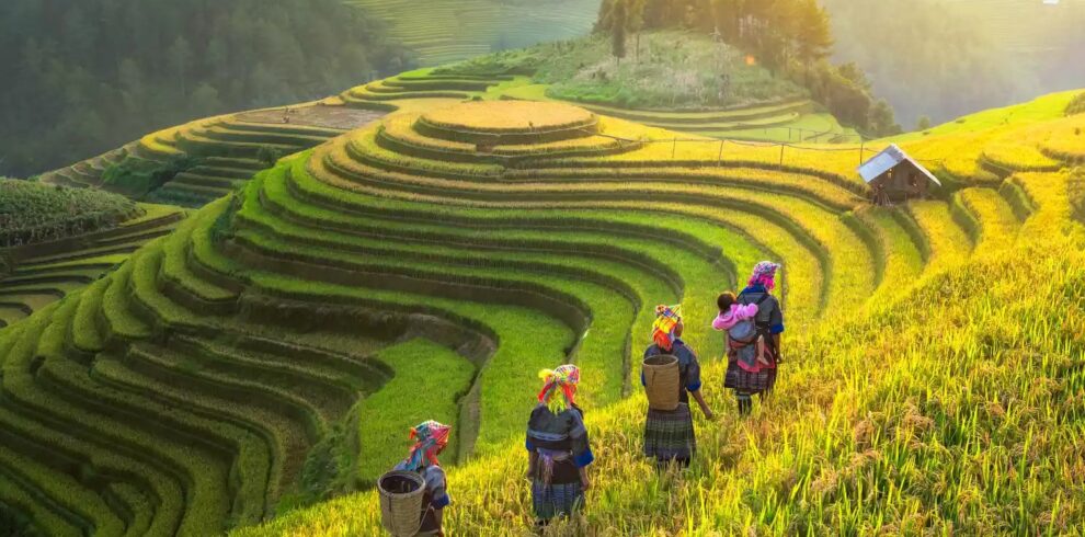 The Impression of Vietnam