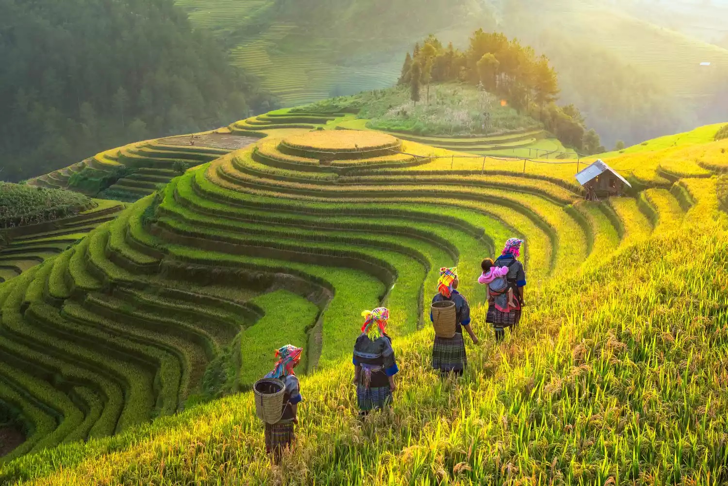 The Impression of Vietnam