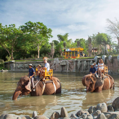 Bali Adventure & Wildlife Escape