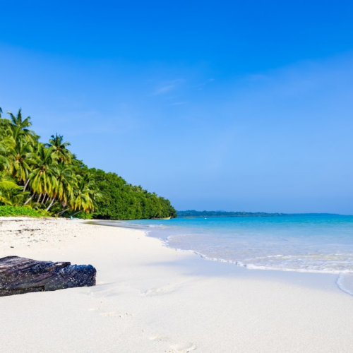 Andaman Island Bliss