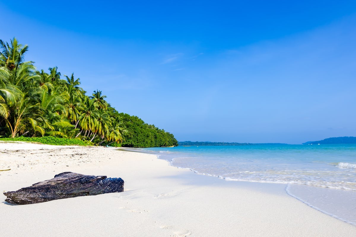 Andaman Island Bliss