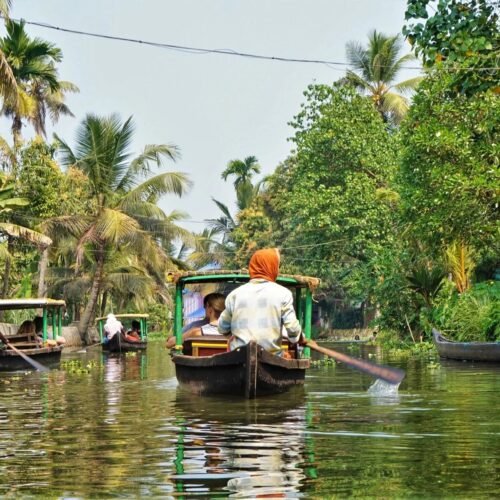 Enchanting Kerala Retreat – Hills, Wildlife & Backwater Bliss