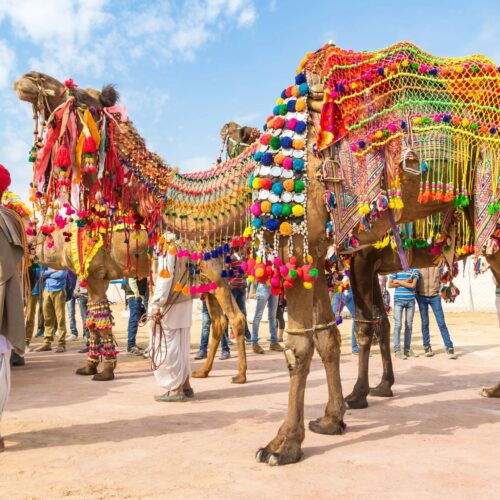 Royal Rajasthan & Golden Triangle Heritage Trail