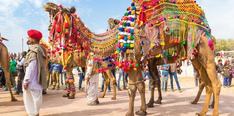 Royal Rajasthan & Golden Triangle Heritage Trail