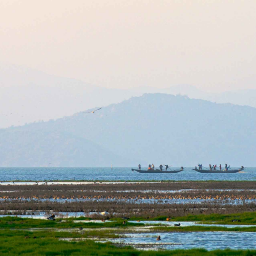Odisha Divine Trails