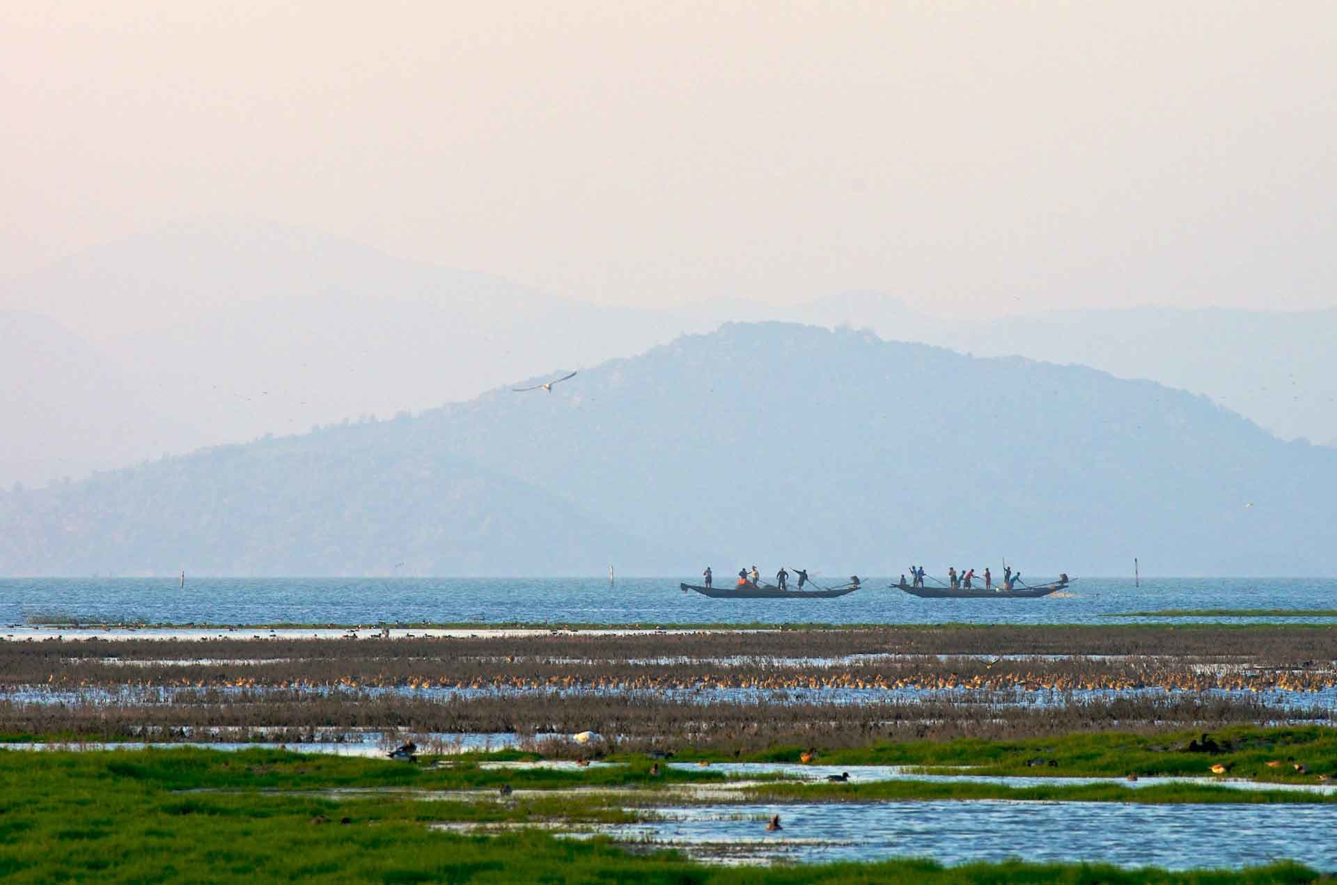 Odisha Divine Trails
