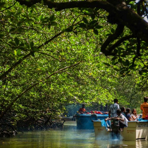 Andaman Grand Island Odyssey