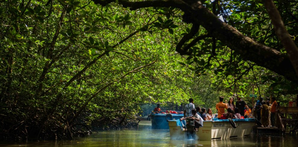 Andaman Grand Island Odyssey